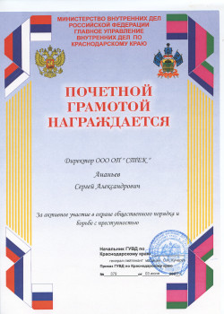 Почётная Грамота Ананьин 2010